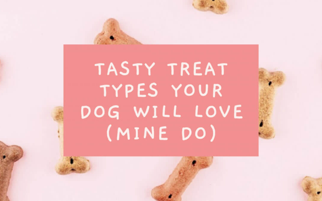 Did I Hear “Treat”?