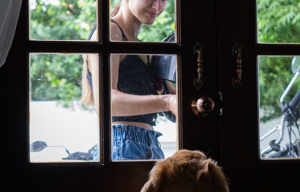 Teaching Your Pup Door Greetings