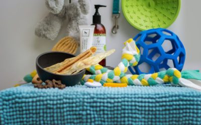 Are Your Pup’s Needs Being Met?