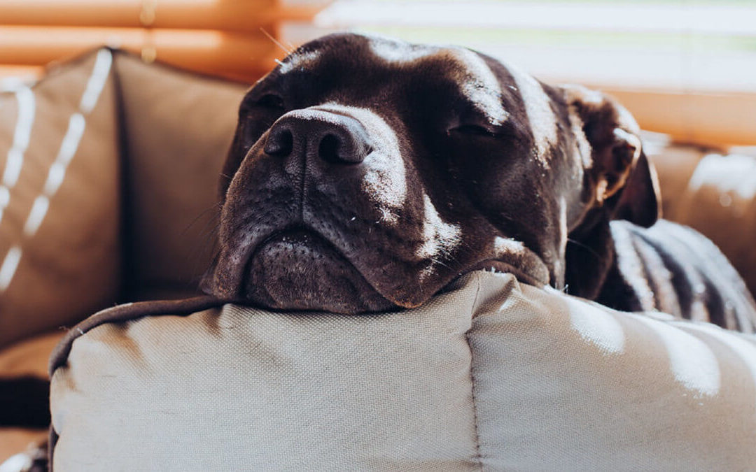 Separation Related Problems