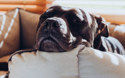 Separation Related Problems