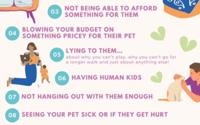 Do You Suffer with Pet Parent Guilt? Here’s How to Deal with It.